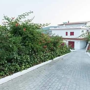 Villa Milena Apartments & Rooms Agropoli Luaran gambar